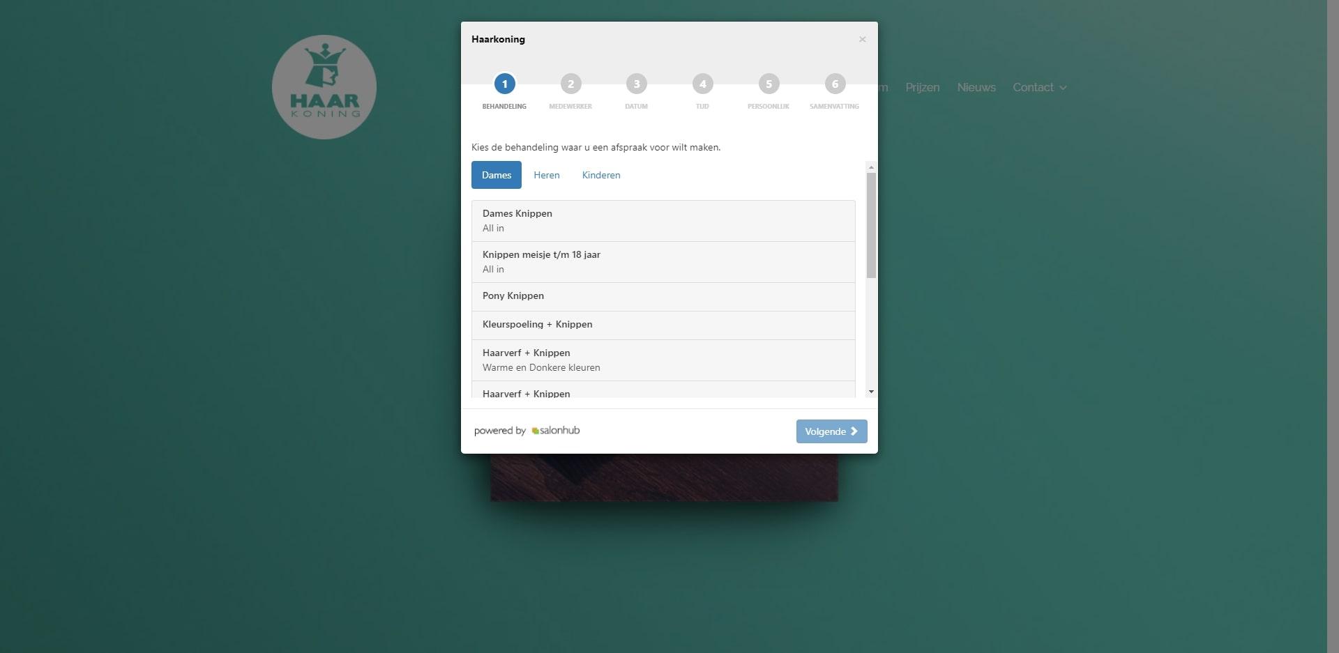 Afspraken widget Salonhub op een website
