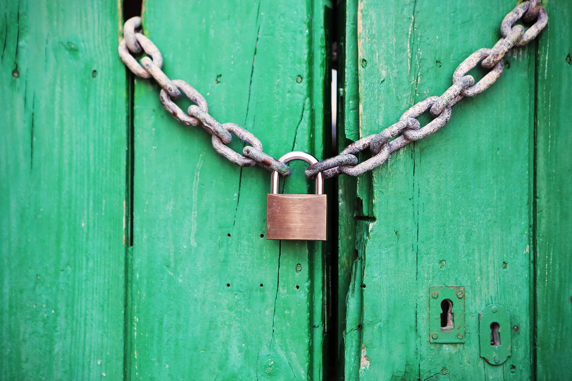 AVG-proof website